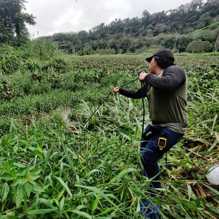 Muestras de Descargas Líquidas